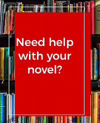 Need help with your novel